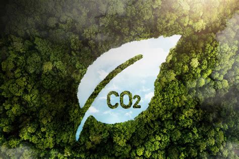What is carbon capture and why does it keep coming up at COP28?